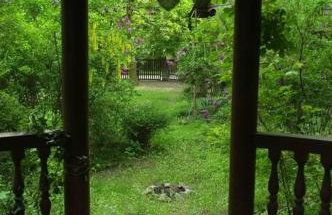 Leśny kasztel pod sosnami. Pokój w koronach drzew. - Foto 10