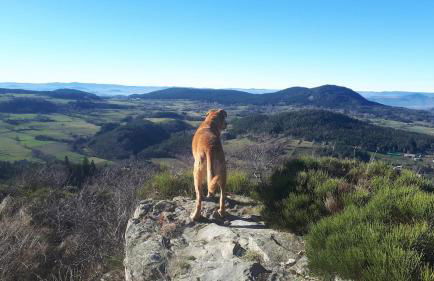 Eco-gîte La Clé des Champs - Foto 14
