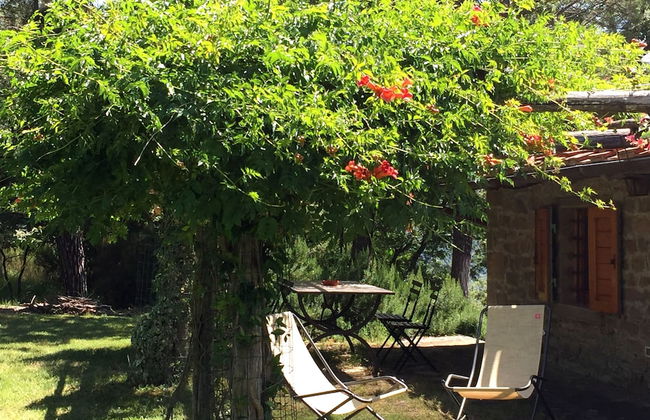 Poggio Corsucci - Foto 50