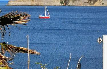 Coach House Cottage - Foto 17