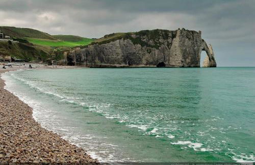 LES FLORALIES - Foto 28