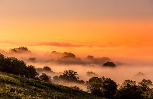 Enchanting Lodge, Cosy Hidden Gem with Woodburner - Foto 25