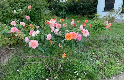 Haus Nummer Vier - Foto 9