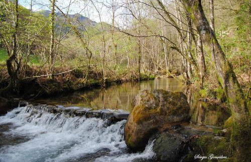 Quinta da Casa dos Santos - Inside Gerês - Foto 45
