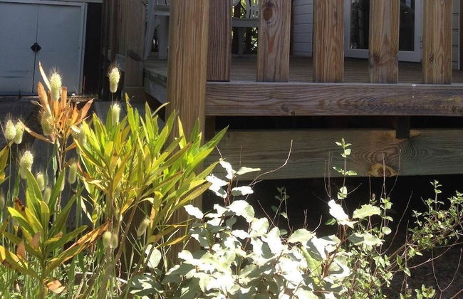 Plaisirs Nature à La Pignade - Foto 44