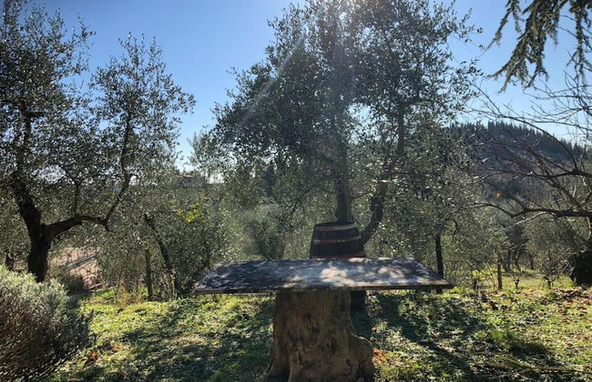 Agriturismo Crocino in Chianti - Foto 40