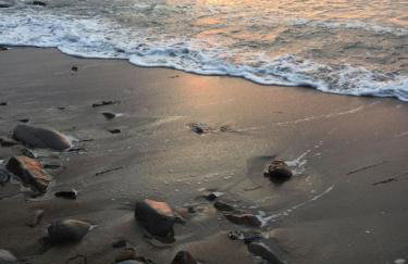 Swallows Nest at Widemouth Bay - 2 bedroom cottage both rooms twin or king - Foto 22
