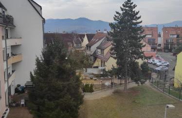 Appartements F3 Design Colmar+parking free - Foto 36