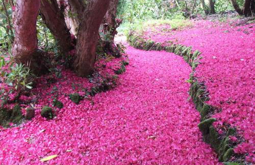 The Clock House - Foto 17