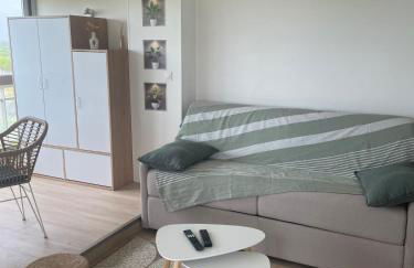 Vue panoramique pour ce grand studio en centre ville - Foto 9