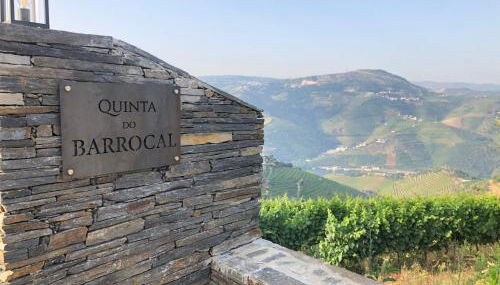 Quinta do Barrocal - Casa de Campo - Photo 5