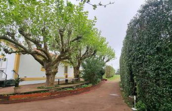 Quinta São José da Relva - Photo 30
