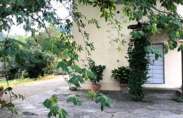 Il Pezzatino - Foto 54