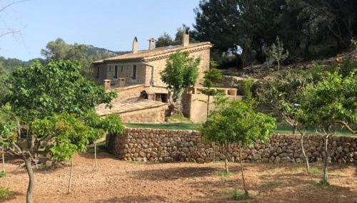 Can Pe es in Puerto de Andratx - Foto 3, Other