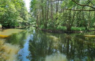 Villa Stare Osieczno - Foto 62