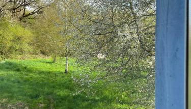 Chez mémé - Foto 3