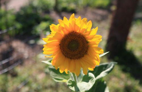 Agriturismo Al Franet - Photo 71