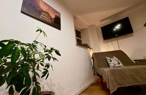 Genau so - Allgäu! Sau Gemütlich - Foto 4