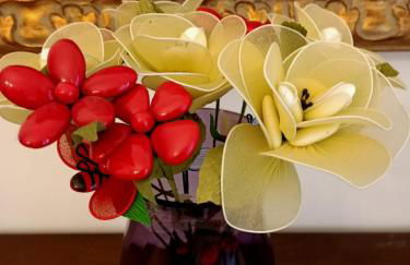 LE GINESTRE - Photo 16