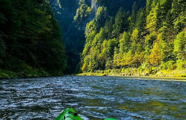 Jaworki Green Dream - Foto 67