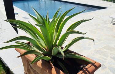 Villa Pavone - Foto 22