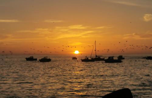 Belle Vue Phare St Mathieu, 100 m plage du Bilou, proximité immédiate Gr34, piscine chauffée - Foto 31
