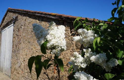 L'Escale du Bocage Piscine couverte chauffée - Photo 22