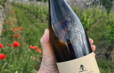 Condrieu, le Châtillon au cœur du vignoble belle vue sur vallée du Rhône - Foto 12