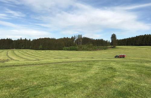 Bauer Haug - Foto 12