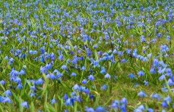 Ferienhaus Magasch - Foto 4