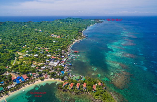 Coral Vista #5 - Foto 34