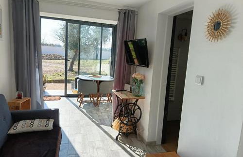 Les Garrigues de l'Oluké - Spa privatif, Piscine, Tennis - Foto 10
