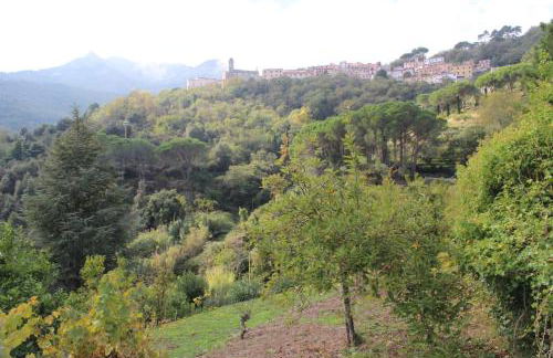 Villa Shanti Yoga & Meditation - Foto 28