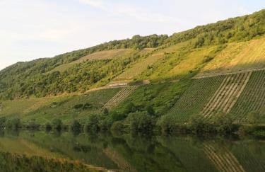 Ferienhaus zur Weinfee - Foto 46