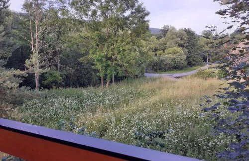 Agroturystyka Jagodowa Róża - Maria Farganus - Foto 31