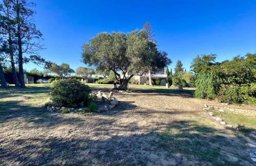 Palau del Vent - Foto 10