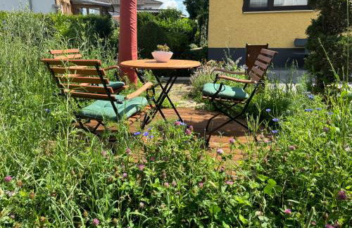 Helle FEWO, 60 qm, Souterrain, eigener Eingang, Rhein und Nahe - Foto 21