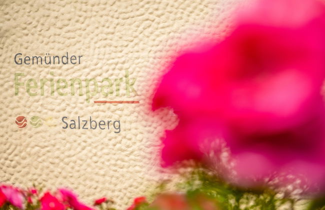 Gemünder Ferienpark Salzberg - Foto 52