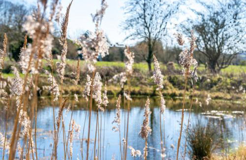 Funzi- Private Norfolk Retreat dog friendly garden - Photo 8