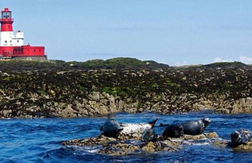 Luxurious & modern on-the-beach family retreat - Foto 65