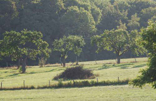 Alte Schule Gästehaus - The principal's rooms Appartment - Foto 11
