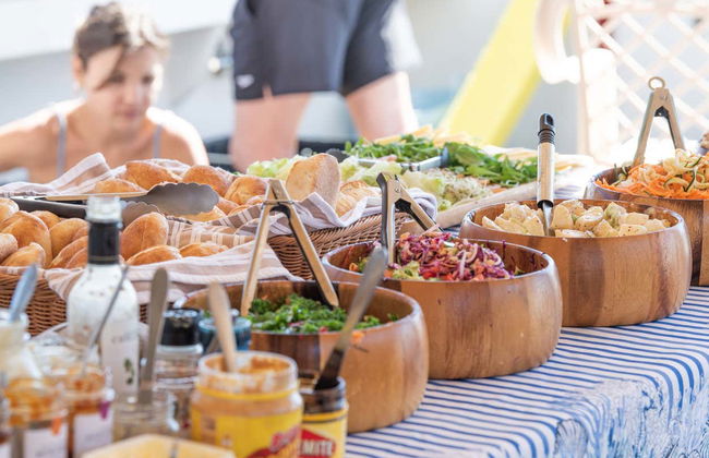 Swim with Humpback Whales or Whale Sharks - Photo 7