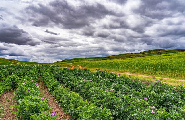 SKY DOME PERU - Foto 29