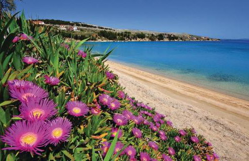 Cozy Apartment In Miskovici With Wifi - Foto 32