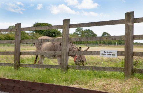 Higher Thorn Barn - Foto 29