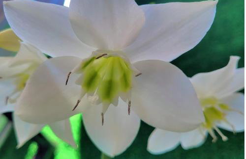 Perfeito Studio 21 - Foto 18