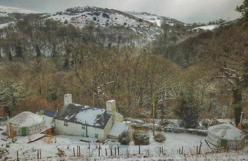 Hapus Yurt - Two Beautiful Yurts and Barn Cottage - Foto 55