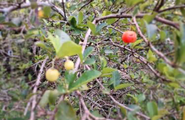 Casa Rústica Recanto do Sol - Foto 13