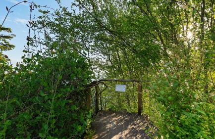 Maxwelton Aerie Bluffside Retreat w Sweeping Puget Sound Views Firepit - Foto 37