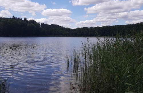 Feriendorf am Weinberg, Dobbrikow - Foto 28
